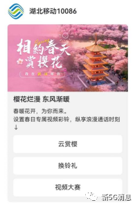 湖北发布5G消息樱花专刊，触达820万用户